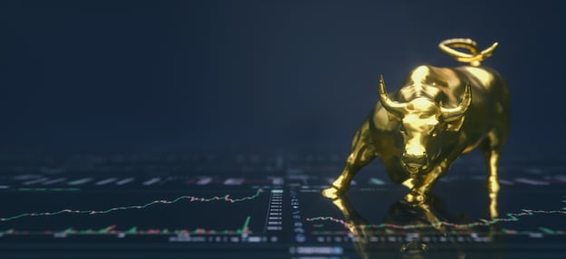 bull market investing www.paxfinancialgroup.com